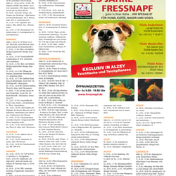 Layout, EBV, Satz, Druckvorstufe einer Zeitung