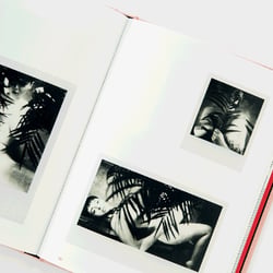 Slanted-Publishers-INSTANT-NUDES 21