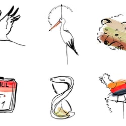 Innere Uhr der Tiere
