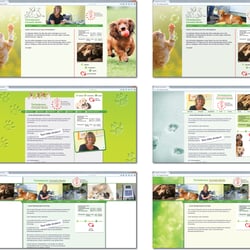 Vorschläge für die Internetpräsenz „Tierheilpraxis“