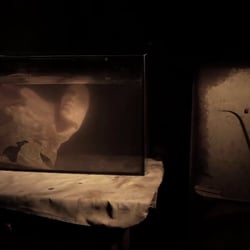 Still 3