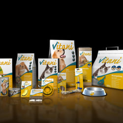 Packaging Design