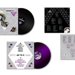 LP: zosch! – birds don’t lie