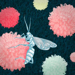 beefemme