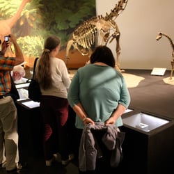 ausstellungsgestaltung-dinosaurier