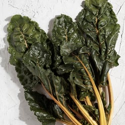 Fresh Chard