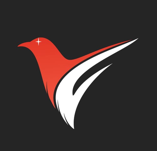 Valarim SEO Agentur Hamburg