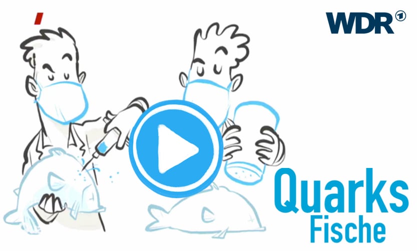 WDR Quarks – Fische