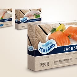 Corporate Design TK-Fisch