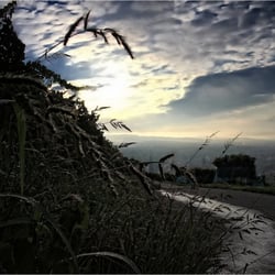 Der Neckarhaldenweg morgens…