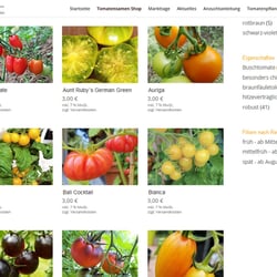OnlineShop, Namenfindung, Konzept