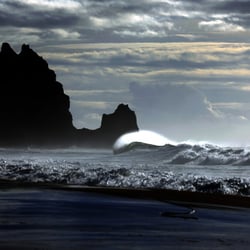 Bevis Photography