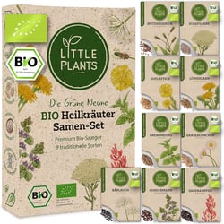 Little Plants – Pflanzen Illustrationen