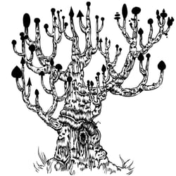 Baum