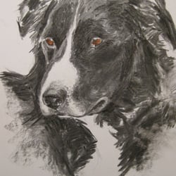 Dog I