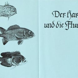 Buch »Der Harund und die Flunder«