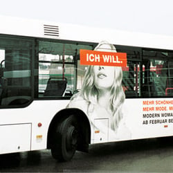 schwalbenfisch gieck-9