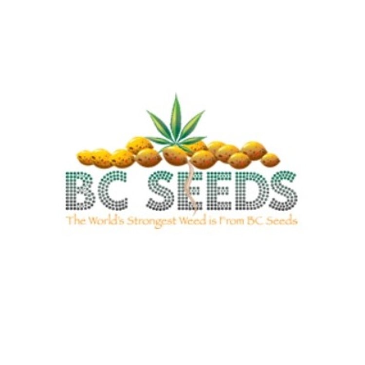 Bc Seeds