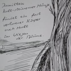 Inmitten kalt-steinerner Hänge…