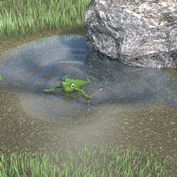 Frosch im Wasser
