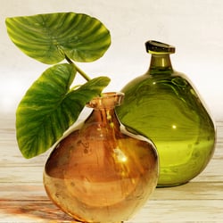 two leaves