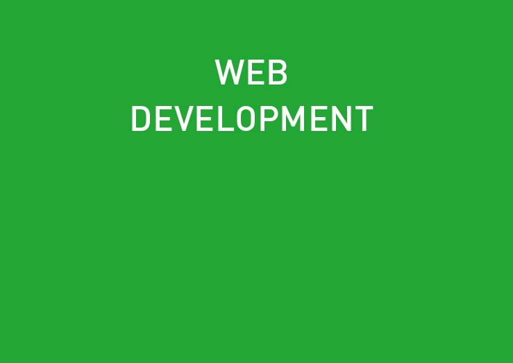 Web Development