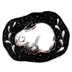 Hase, digitale Illustration