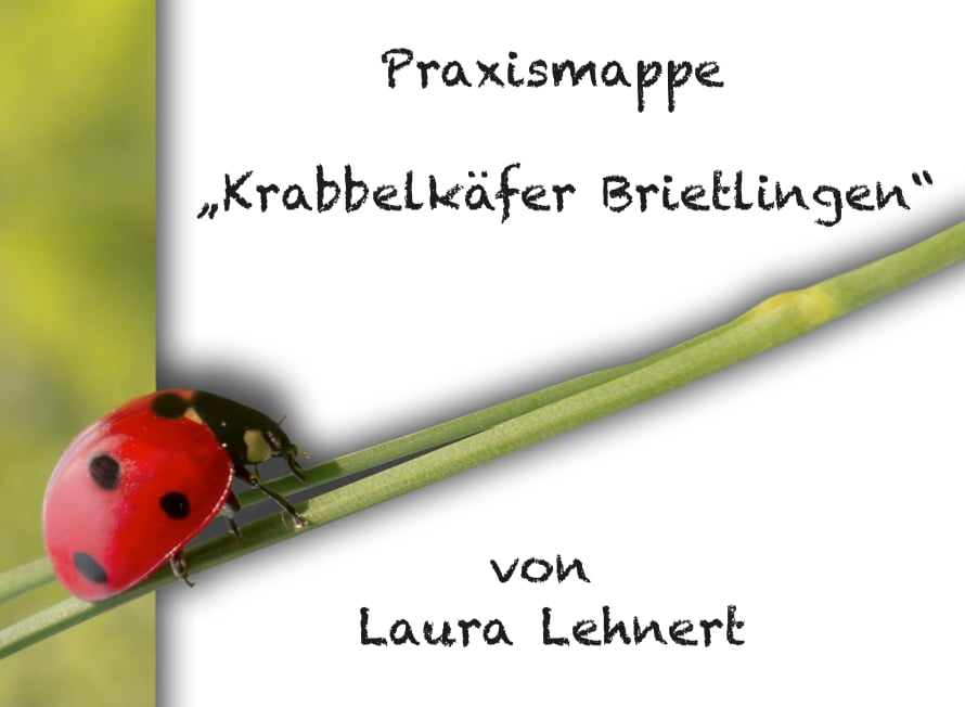 Bildschirmfoto 2024−01−04 um 12.45.07