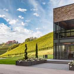 Weinfotografie im Weinparadies Durbach, Ortenau, Baden