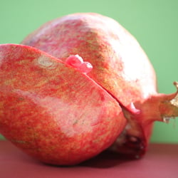 Granatapfel November 2012
