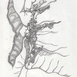 Dragon #01