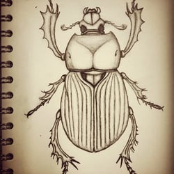 Scarabeo