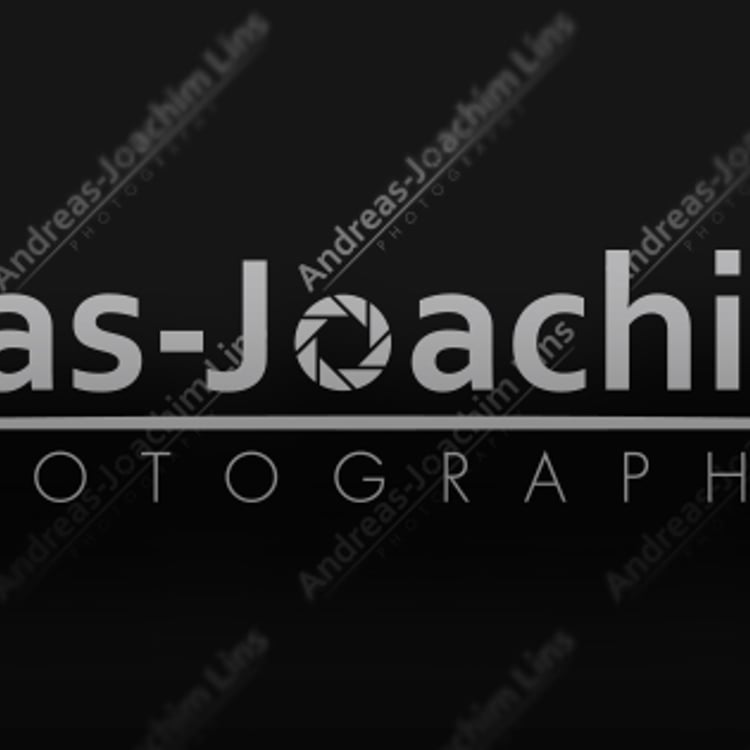 Andreas-Joachim Lins