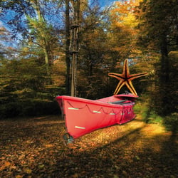 Starfish ‚n‘ Ships