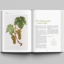 Gartenkultur – Doppelseite 3