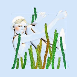 Blumen-Serie