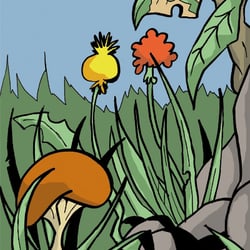 die wiese