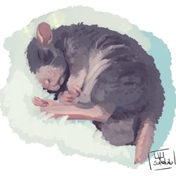 ratpaintingpractice