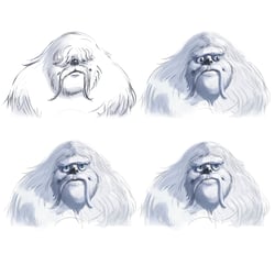 Yeti
