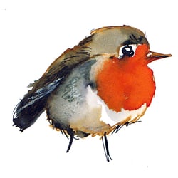 Rotkehlchen