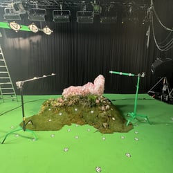 Zalando Art Direction and Production