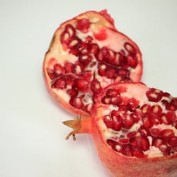 Granatapfel November 2012