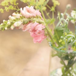 Western Wedding