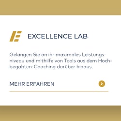 Webdesign: Produkt-Beschreibung