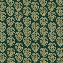 Safari 1