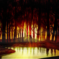 Sunset Forest