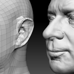 Facial sculpting 4