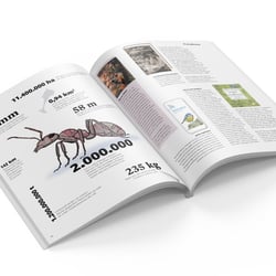 33 % Das Waldmagazin