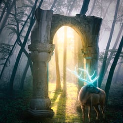 WaldSucht