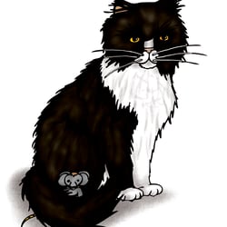 Katzen